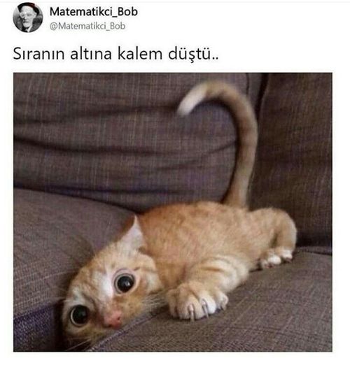 Kara Tahta paylaşım görseli
