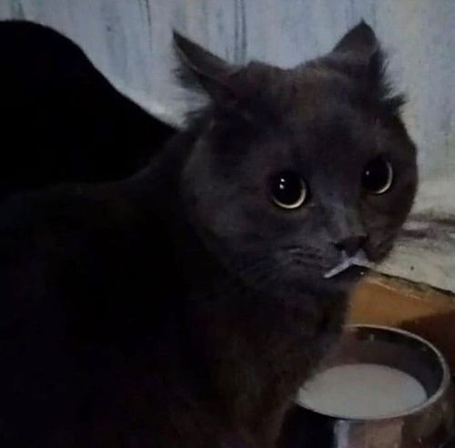 Kara Tahta paylaşım görseli