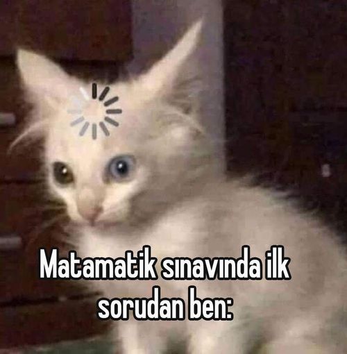 Kara Tahta paylaşım görseli
