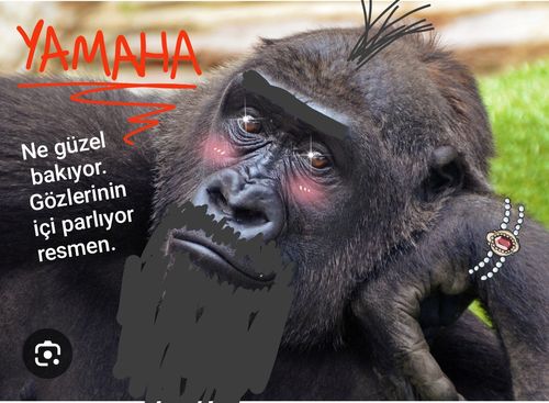 Kara Tahta paylaşım görseli