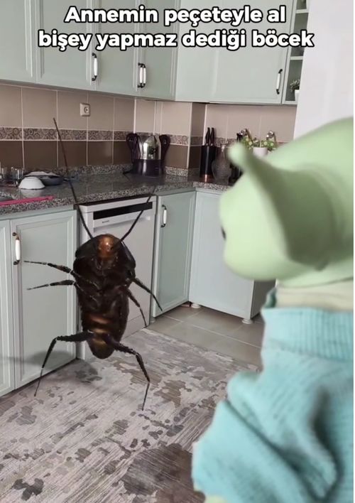 Kara Tahta paylaşım görseli