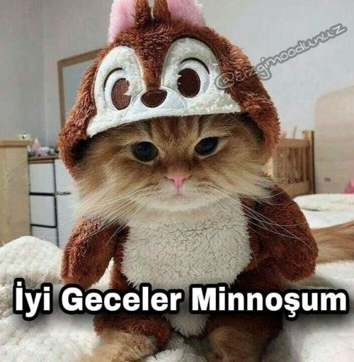 Kara Tahta paylaşım görseli
