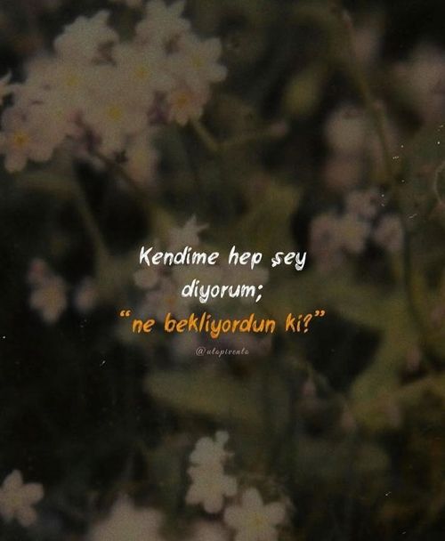 Kara Tahta paylaşım görseli
