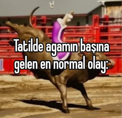 Kara Tahta paylaşım görseli