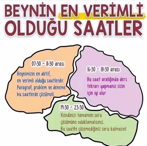 Kara Tahta paylaşım görseli