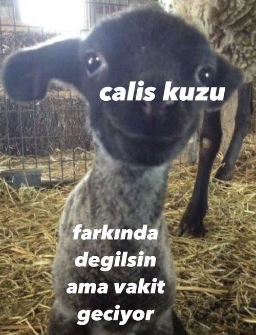 Kara Tahta paylaşım görseli