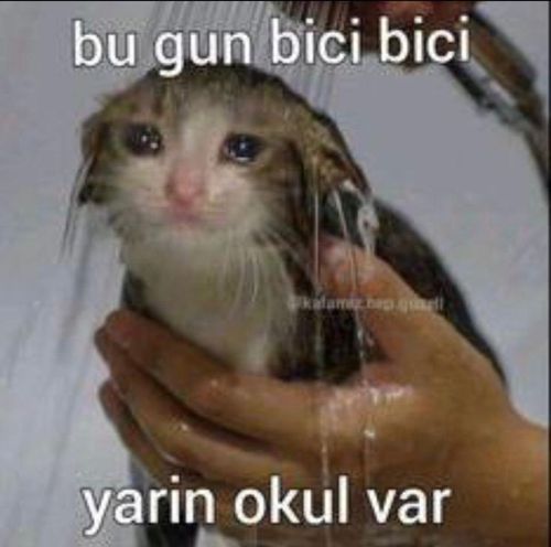 Kara Tahta paylaşım görseli