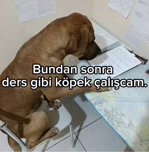 Kara Tahta paylaşım görseli