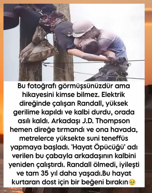 Kara Tahta paylaşım görseli