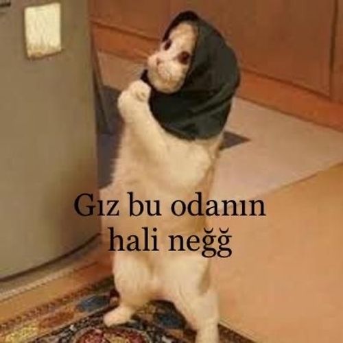 Kara Tahta paylaşım görseli