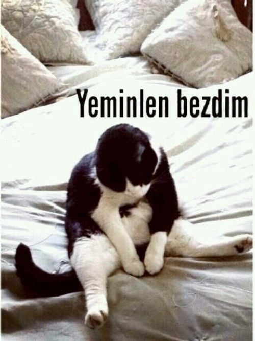 Kara Tahta paylaşım görseli