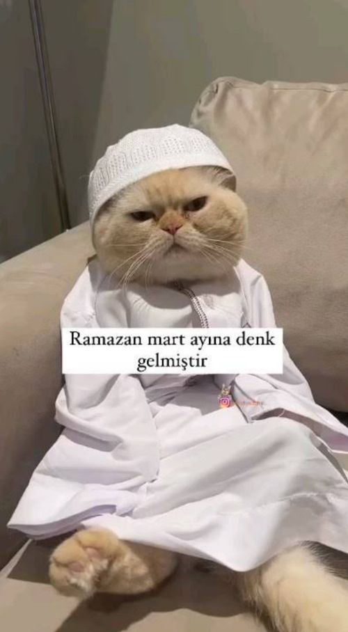 Kara Tahta paylaşım görseli