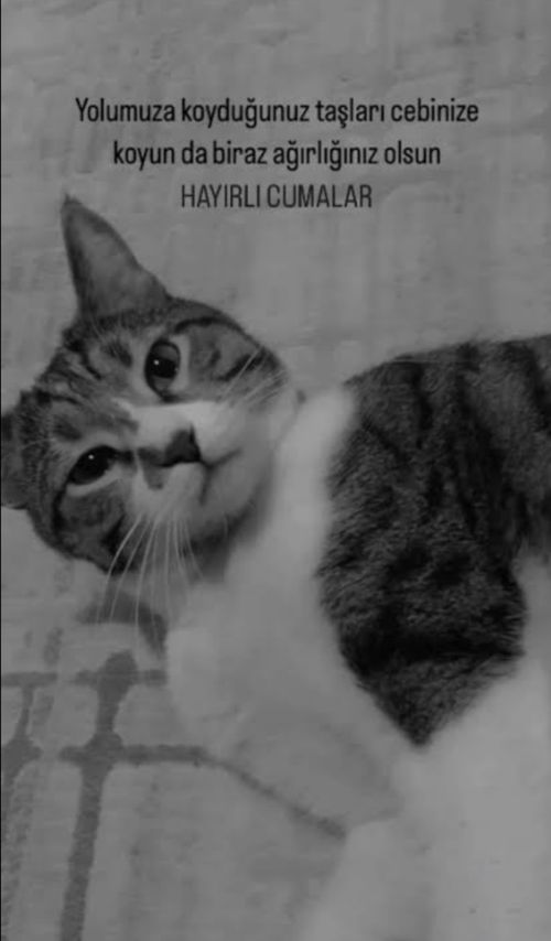 Kara Tahta paylaşım görseli