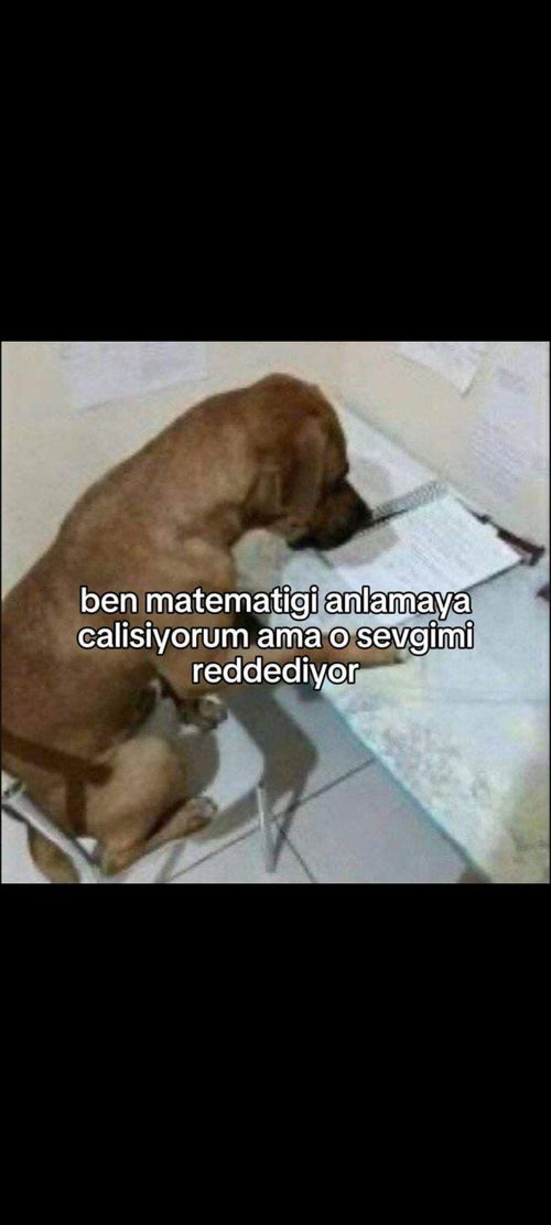 Kara Tahta paylaşım görseli