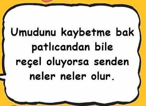 Kara Tahta paylaşım görseli