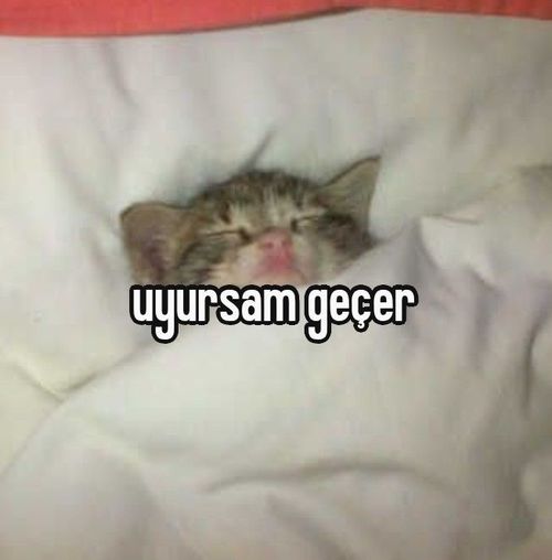 Kara Tahta paylaşım görseli