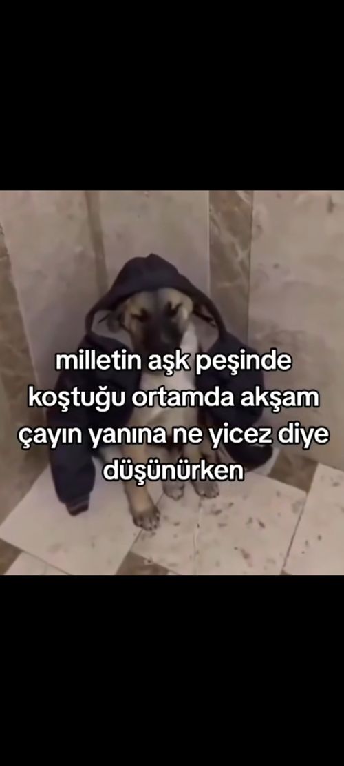 Kara Tahta paylaşım görseli
