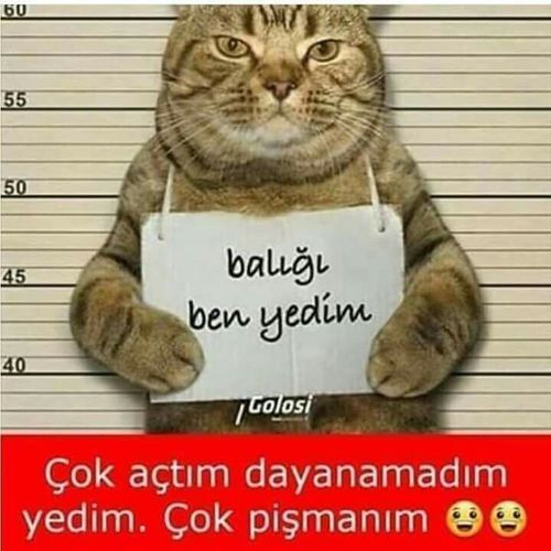 Kara Tahta paylaşım görseli