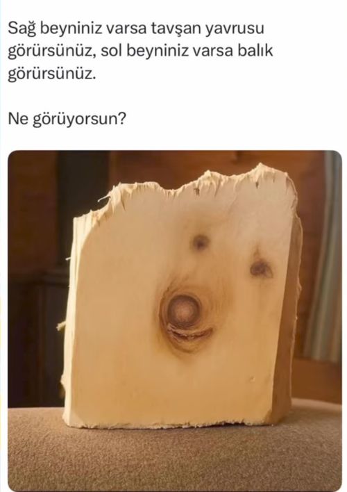 Kara Tahta paylaşım görseli