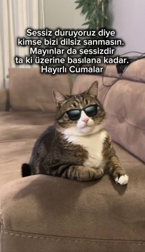 Kara Tahta paylaşım görseli