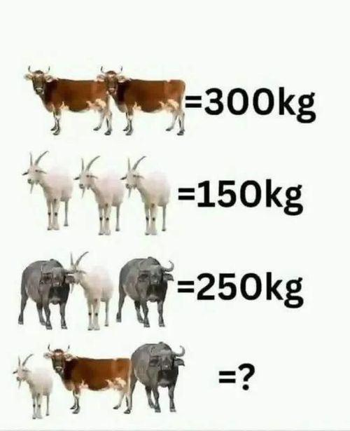 Kara Tahta paylaşım görseli