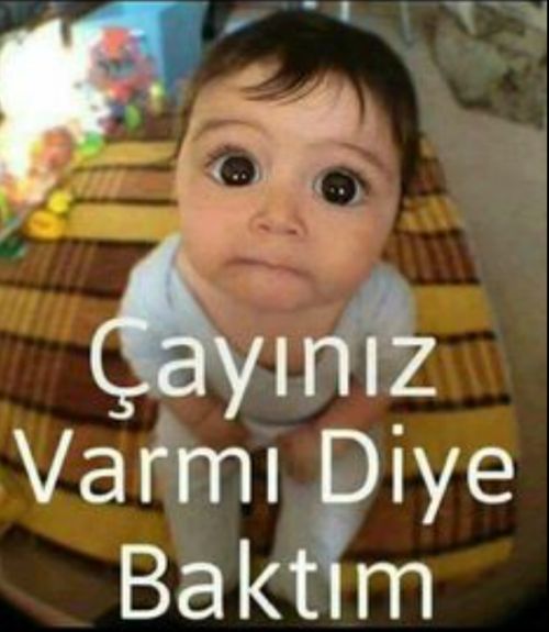 Kara Tahta paylaşım görseli