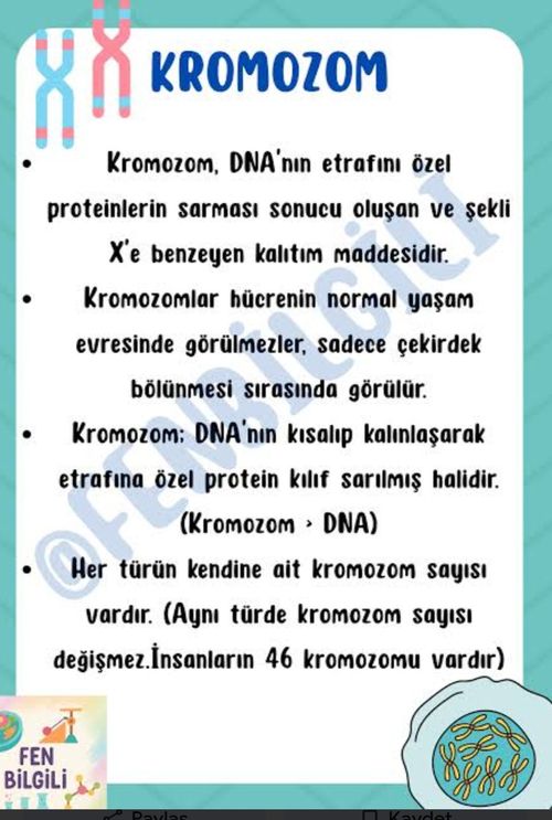 Kara Tahta paylaşım görseli