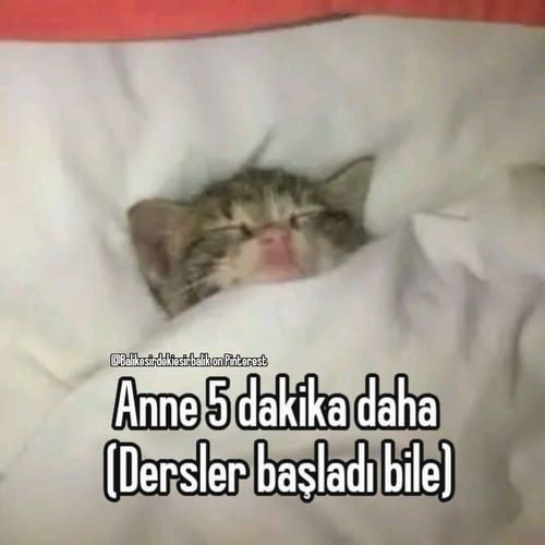 Kara Tahta paylaşım görseli