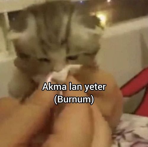 Kara Tahta paylaşım görseli