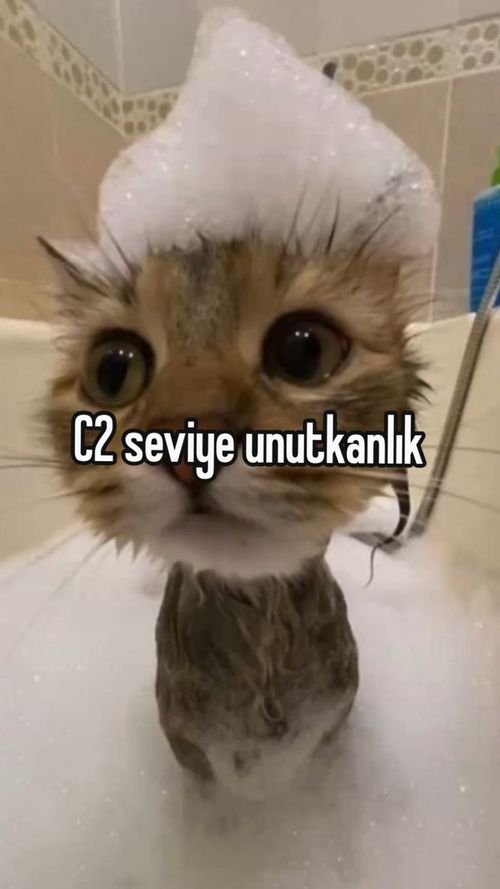 Kara Tahta paylaşım görseli