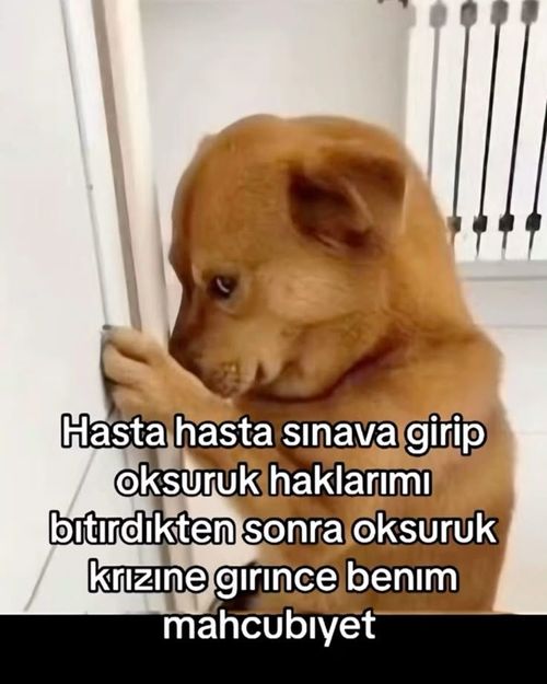 Kara Tahta paylaşım görseli