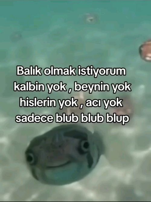 Kara Tahta paylaşım görseli