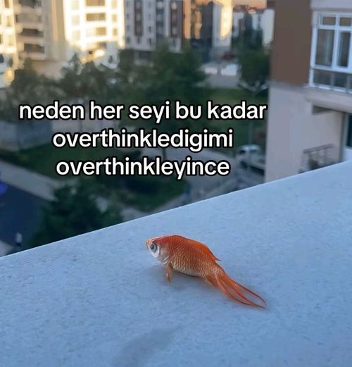 Kara Tahta paylaşım görseli
