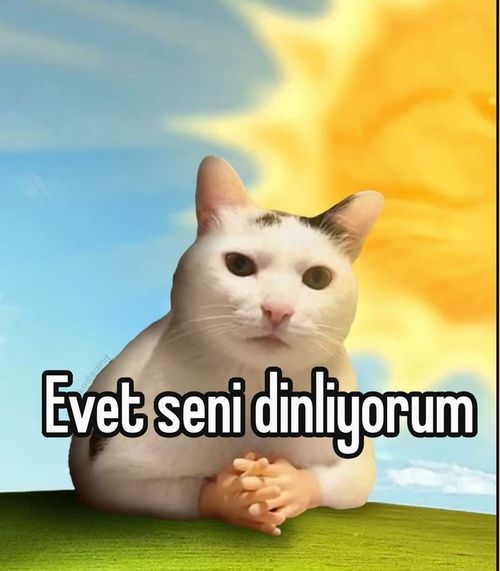 Kara Tahta paylaşım görseli