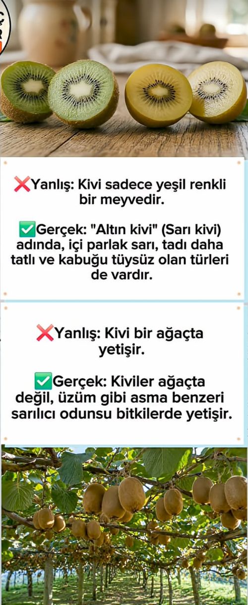 Kara Tahta paylaşım görseli