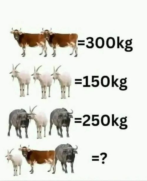 Kara Tahta paylaşım görseli
