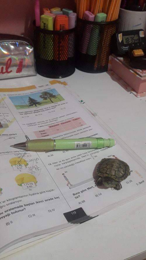 Kara Tahta paylaşım görseli