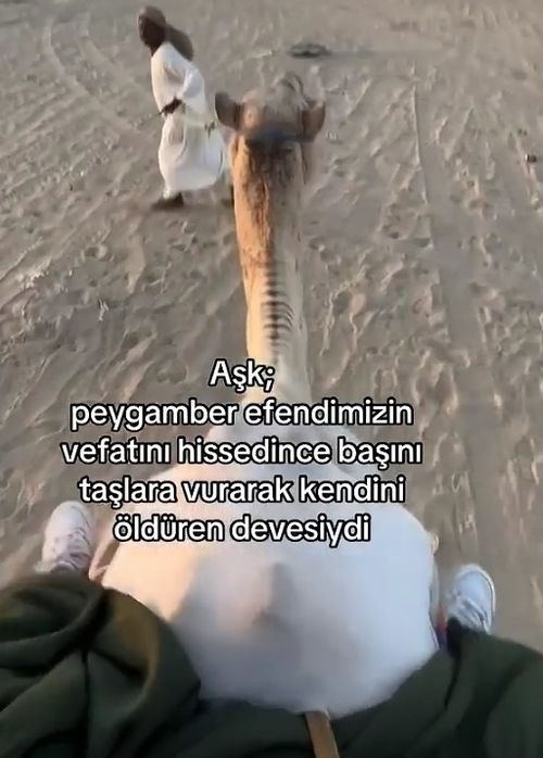 Kara Tahta paylaşım görseli