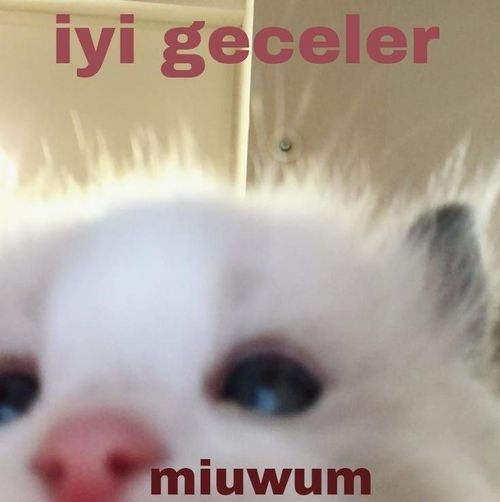 Kara Tahta paylaşım görseli