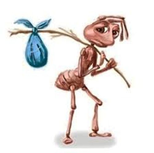 Kara Tahta paylaşım görseli