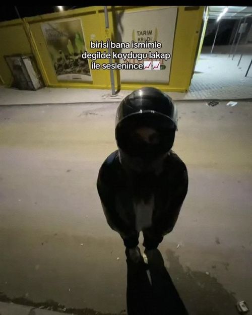 Kara Tahta paylaşım görseli